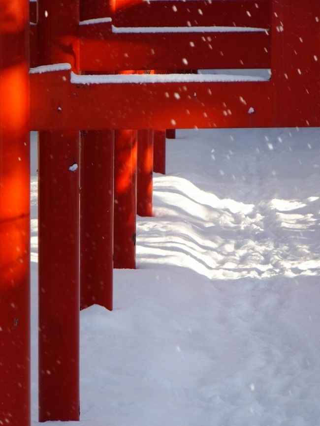 お正月も終わり、ひっそりとした伏見神社です。