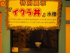 遊び心（ダジャレ？）いっぱいの横浜中華街・吉本おもしろ水族館
