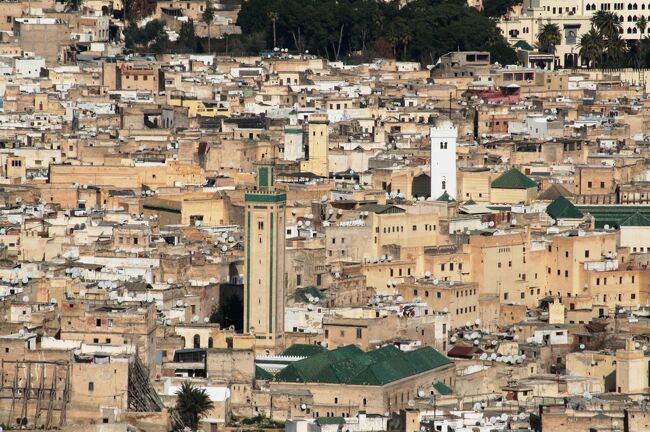 2012正月、モロッコ王国旅行記(30/49)：1月10日(5)：フェズ旧市街、要塞址の丘からの眺望、大砲、城壁