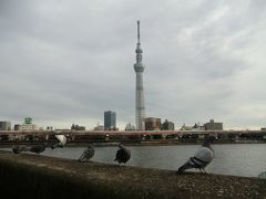 2012年1月　浅草から吉原へ江戸散歩