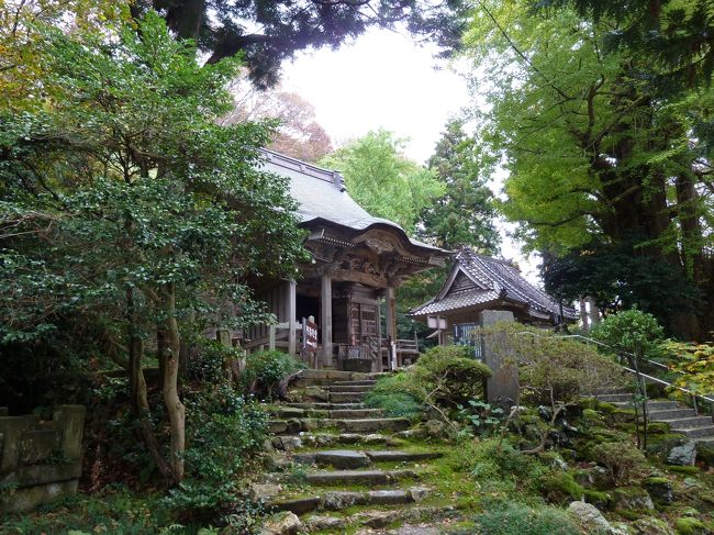 弥彦神社の参拝を済まし、芭蕉たちは翌朝観音寺まで南下し、難所と云われた旧猿が馬場峠を越え、峠の北西にある西生寺に向かう。<br /><br />西生寺は奈良時代の創建と云われる越後屈指の古刹で、古くから周辺随一と聞こえの高い霊場（資料）。<br /><br />西生寺には、弘智法印の即身仏（五穀の食を断ち、生きながら墓に入り、ミイラとなった仏））が安置されていることで知られる。<br /><br />この即身仏は日本最古といわれ、芭蕉生存の時代に既によく知られていたらしい。<br />即身仏を拝む事が芭蕉が弥彦を訪ずれる目的でもあったようだ。<br /><br />境内には”芭蕉参詣の碑”が建っている。<br /><br />　　文月や　からさけおがむのずみ山　　芭蕉<br /><br />西生寺の本堂は阿弥陀堂だが、弘智法印の即身仏は別堂の弘智堂の奥部屋に安置されている。<br /><br />ここも住職自らのご案内。<br /><br />他にも西生寺境内に建つ堂宇は見ごたえがある。<br /><br />あまり見かけ無い、重厚にして綺麗な湾曲の形状の屋根を持つ客殿。<br /><br />鮮やかな空色の屋根の宝物館。<br />ここには弘智法印の木造の代替仏や、弘智法印のレントゲン写真を含め、当寺の宝物が展示されている。<br /><br />建築以外にも幾つか見所が有る。<br /><br />弘智法印の立体の銅像、足が丈夫になると云う”水かけ草鞋”、”ボケ除け地蔵”には思わず最敬礼、そして樹齢800年と云われる大公孫樹。<br /><br />極め付けは境内の北西角にある、大展望台。<br />そこからの日本海に浮かぶ佐渡島のパノラマは「新潟県景勝１００選」の上位を占める。<br /><br />ディレクターさんが「佐渡島が雲に隠れないうちに・・」と皆を呼びに来た。