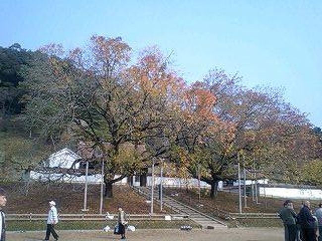 その年の夏場は暑くて秋になり急激に冷え込むと<br />その年の紅葉の色づきは良いそうです。<br />この年は前年に比べて色づきが悪く場所によっては<br />紅葉せずに落ち葉となっている所もありました。<br />その中でも綺麗な名所がいくつかあったのでご紹介します。