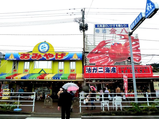 我々は照明寺参拝を終えた所で道を逸れ、昼食会場に向かう。<br /><br />昼食会場の場所は、現在の佐渡への連絡船の出航地寺泊港フェリーターミナルを背にして、街道沿いに長く広がる、寺泊名物”寺泊のアメ横・寺泊魚市場”の中。<br /><br />