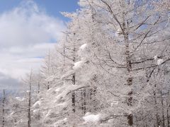 ゲレンデは雪いっぱい第２弾（＾−＾）またまた岐阜県飛騨まで滑りに行ってきました