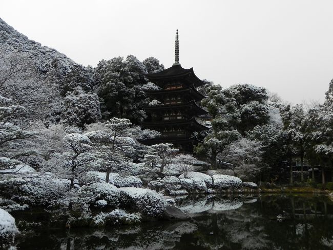 朝起きて外を見ると、銀世界§^。^§<br />午後から山口へ出かける用事があったので、ついでに、雪の瑠璃光寺へ。