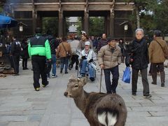 初☆冬の奈良旅①