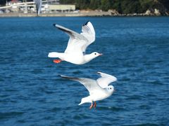 伊勢路縦断小紀行【４】～紺碧の鳥羽の海から伊良湖岬へ～