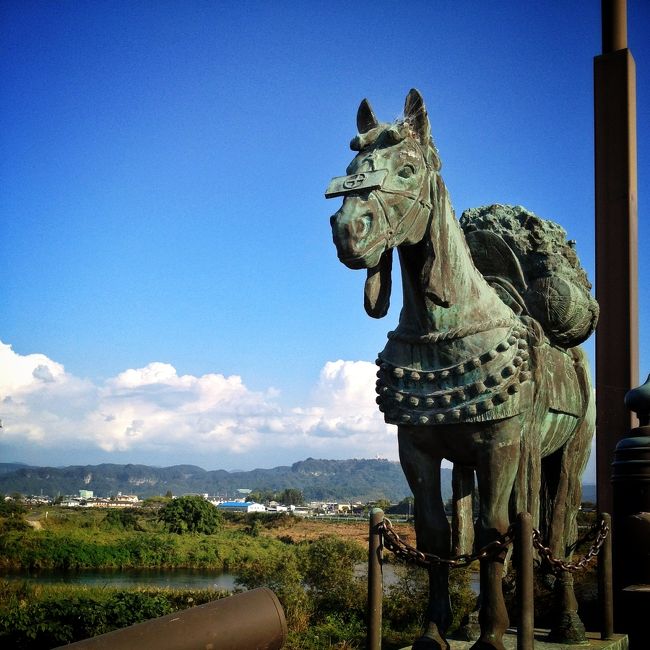 2011.11.5〜11.13の間、鹿児島をメインに南九州を旅してきました。戦国島津関連の史跡めぐりと、JR九州が誇る観光列車に乗る旅です。<br />免許証は身分証明書でしかない人間なので、移動は電車とバスとレンタサイクル（あとはズルしてタクシーをちょっと）のみです。<br /><br />【1日目】<br />宮崎県 市内から海幸山幸号乗車ー飫肥ー日南海岸<br />【2日目】<br />宮崎県 佐土原ー都城 鹿児島県 霧島<br />【3日目】<br />鹿児島県 国分<br />【4日目】<br />鹿児島県 伊集院ー日置ー吹上<br />【5日目】<br />鹿児島県 加世田ー知覧<br />【6日目】<br />鹿児島県 鹿児島市内<br />【7日目】<br />鹿児島県 川内ー桜島<br />【8日目】<br />鹿児島県〜熊本県まで隼人の風、いさぶろう・しんぺい号に乗車ー天草<br />【9日目】<br />熊本県 天草からA列車で行こう乗車ー熊本市内