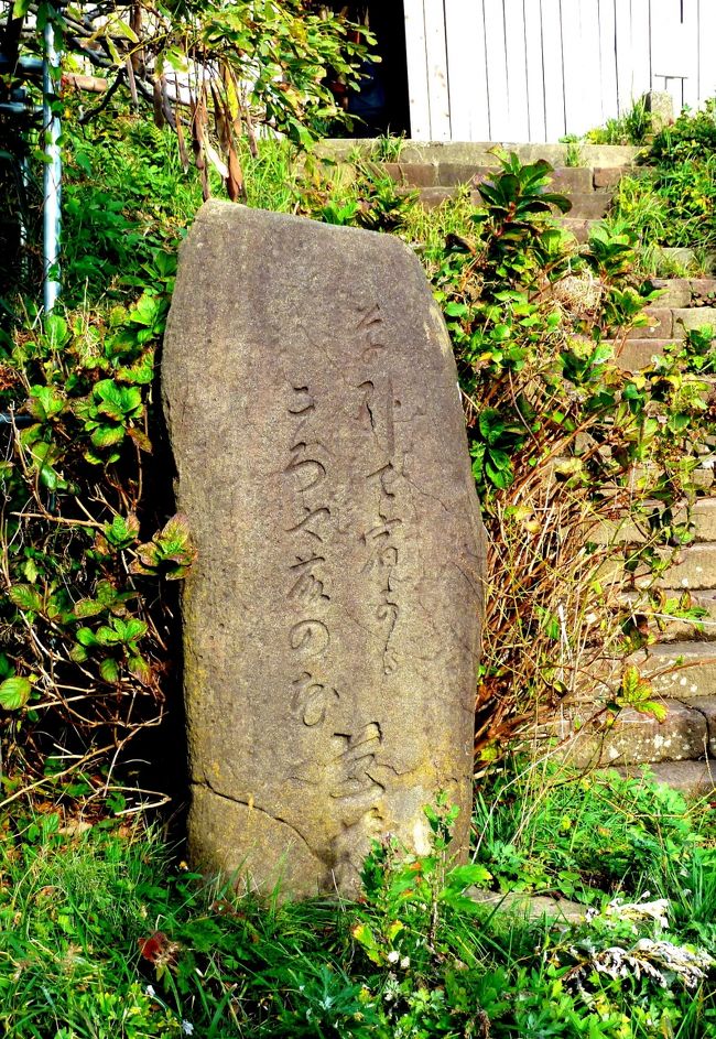 雨模様の出雲崎を出発した芭蕉達は、椎谷、大湊を過ぎると現在の刈羽原子力発電所が有る辺りの砂丘状の道を荒浜を抜け、柏崎に入る。<br /><br />椎谷には観音堂が有る。<br />我々の狙いは、椎谷観音入り口にある芭蕉の句碑。<br /><br /> 草臥(くたび)れて 宿かるころや藤の花<br /><br />椎谷観音は藤の名所でもあるらしい。<br /><br />しかし脇に建つ案内板によると、芭蕉が見た藤の花は丹羽市。<br /><br />後に藤の花の季節に椎谷観音を訪れた江戸の俳人巣也が、丹羽市で芭蕉が詠んだ句が連想され、ここに碑を建てたとある。<br /><br />椎谷観音の本名は華蔵院。<br />境内は相当広そうで、我々は一番手前の閻魔堂のカラフルな閻魔様を拝む事で満足する。<br /><br />そこから米山を背に、期待に反して?穏やかな日本海越しの、刈羽原子力発電所の高い鉄棟群が望めた。<br /><br />芭蕉達は、当初は象潟で知り合った俳人低耳の紹介で、柏崎の俳人で、庄屋で豪商でもあった天屋弥惣兵衛宅に泊めても貰う積りであったが、弥惣兵衛の応対に不快を感じた芭蕉は、柏崎での逗留を断念し、跡を追って芭蕉に宿に留まって呉れる様に懇願した弥惣兵衛の願いをも振り切って、更に4里(12k)先の鉢崎(米山)まで足を延ばす。<br /><br />その天屋弥惣兵衛宅は柏崎市西本町の石井神社の脇にあったらしい。<br />