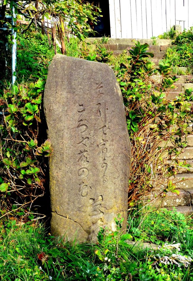 雨模様の出雲崎を出発した芭蕉達は、椎谷、大湊を過ぎると現在の刈羽原子力発電所が有る辺りの砂丘状の道を荒浜を抜け、柏崎に入る。<br /><br />椎谷には観音堂が有る。<br />我々の狙いは、椎谷観音入り口にある芭蕉の句碑。<br /><br />　　　草臥（くたび）れて　宿かるころや藤の花<br /><br />椎谷観音は藤の名所でもあるらしい。<br /><br />しかし脇に建つ案内板によると、芭蕉が見た藤の花は丹羽市。<br /><br />後に藤の花の季節に椎谷観音を訪れた江戸の俳人巣也が、丹羽市で芭蕉が詠んだ句が連想され、ここに碑を建てたとある。<br /><br />椎谷観音の本名は華蔵院。<br />境内は相当広そうで、我々は一番手前の閻魔堂のカラフルな閻魔様を拝む事で満足する。<br /><br />そこから米山を背に、期待に反して？穏やかな日本海越しの、刈羽原子力発電所の高い鉄棟群が望めた。<br /><br />芭蕉達は、当初は象潟で知り合った俳人低耳の紹介で、柏崎の俳人で、庄屋で豪商でもあった天屋弥惣兵衛宅に泊めても貰う積りであったが、弥惣兵衛の応対に不快を感じた芭蕉は、柏崎での逗留を断念し、跡を追って芭蕉に宿に留まって呉れる様に懇願した弥惣兵衛の願いをも振り切って、更に4里（12k）先の鉢崎（米山）まで足を延ばす。<br /><br />その天屋弥惣兵衛宅は柏崎市西本町の石井神社の脇にあったらしい。<br />