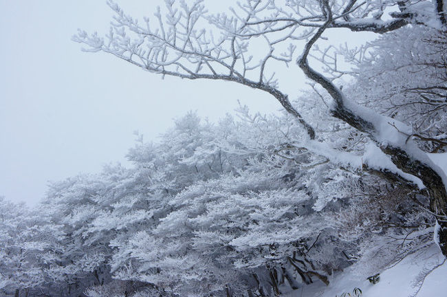 きっかけは、自然の芸術・樹氷が見たくて…<br /><br />そんな想いを抱き、<br />御在所岳で樹氷が出来る時を待ち焦がれてました☆<br />丁度、２日前の新聞に、青空を背景に樹氷が綺麗に<br />写ってました。<br />正に、私が撮ってみたい景色♪<br />早速、お出掛け計画を立てました^^<br /><br />御在所ロープウェイ界隈は温泉街なので、<br />帰りにゆっくりしてきましょ♪って事で、検索。<br />いぃ所、あるじゃないですか〜♪♪♪<br />自然に囲まれた歴史と伝統が息づく老舗旅館、<br />心、うるおう四季のおもてなし、露天風呂あり、<br />会席料理…ノックアウトですね。即効で決定♪<br /><br />帰り道、老舗の和菓子屋さんにて、<br />洋風和菓子(生クリーム大福）を購入。<br />あっ！この近くに四日市コンビナートの展望台も<br />ある、ある、あるじゃないですか〜♪<br />そう言えば、工場萌え、夜景クルーズが、<br />じわじわ人気らしく、じゃ行ってみましょうかって事で<br />急遽行って来ました。<br /><br />かなり盛りが多い旅行記です。<br /><br />宜しければ、ご一緒に…♪<br /><br /><br />では、参りましょうか(*^о^*)/