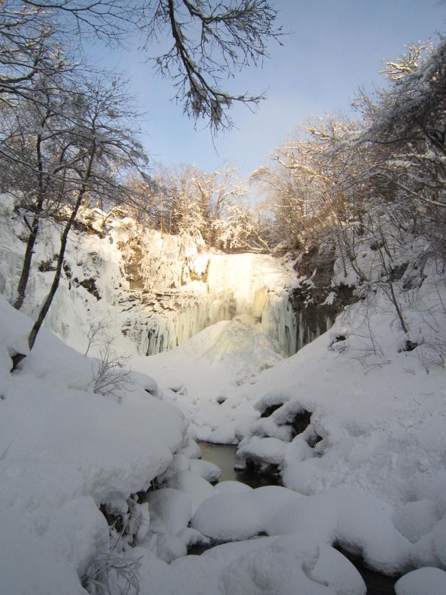 『札幌滝野すずらん公園』で4日間限定<br /><br />“早朝の滝を見に行こう！”という企画がありました。<br /><br /><br />どこの滝かというと『アシリベツの滝』<br /><br /><br />通常9時開園からはいつでも行って見ることができるんですが、<br /><br />この4日間だけは2時間早く特別早朝開園＆ガイド付き＝無料♪<br />(駐車場代400円)<br /><br /><br />　　　普段は寝坊助のきーちゃん。。。<br /><br />　　　起きるの5：30だよ～・・・いつもはまだ夢の中(-_-)zzz<br /><br />いざ！目覚まし！。。。　ピピ！ピピ！ピピ！<br /><br />　　　「うわぁ～　ねむぅ～　((+_+))　やめよっかなぁ～(ーー;)」<br /><br />布団の中で、10分間格闘・・・・<br /><br />　　　　「とやぁ～～～～!!　起きるんだ!!」<br />