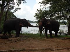 スリランカ世界遺産8箇所全制覇(前半)　仏教の歴史に触れる