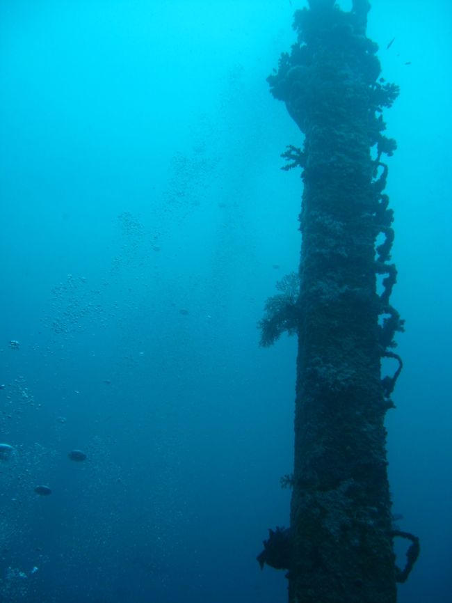 島好きの私がすっかりはまったフィリピン。<br /><br />海が綺麗<br />海の温度が温かい。<br />物価が安い。<br />マンゴーが美味しい。<br /><br />ってことで、昨年に引き続き　ＧＷはフィリピン行き決定。<br /><br />あまり聞いた事のなかったボラカイ島へＧＯ