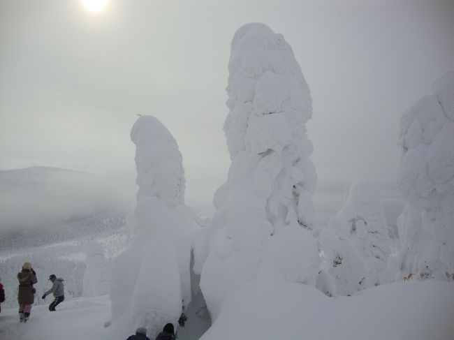 樹氷の体験は初めてです。今回は宮城蔵王の樹氷めぐりですが生憎とお天気は晴天では有りませんでしたが、最新鋭の雪上車(ワイルドモンスター号」は暖房完備でしたので助かりました。<br />標高１１００ｍのゲレンデハウスから出発して１６００ｍの樹氷原まで40分以上で到着。<br />いろいろなかたちの樹氷はアオモリトドマツの木に氷と雪が付いたものです。雪の少ない山では樹氷は出来ないが雪が多すぎてもアオモリトドマツが自生できないのだそうです。<br />またアオモリトドマツに雪が積もって天然のかまくらのようになり吹雪の時など中に入って避難する事も。<br />今回は出来ませんでしたが夜にはライトアップされた樹氷の家めぐりも楽しめるそうです。<br /><br /><br />