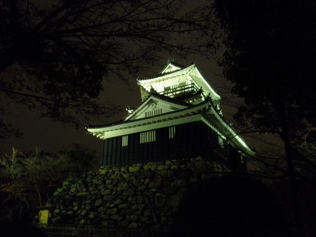 20111203-05 冬のスマタ・大井川紀行(3) 1日目-3 天浜線・遠州鉄道②（浜松城・奥浜名湖温泉「かんぽの湯浜名湖三ケ日」）