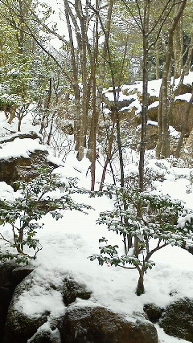 箱根の山の上は、銀世界。雪の舞う中、露天風呂で命の洗濯。