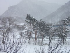 雪はしんしんと降り積もる ＠水上温泉