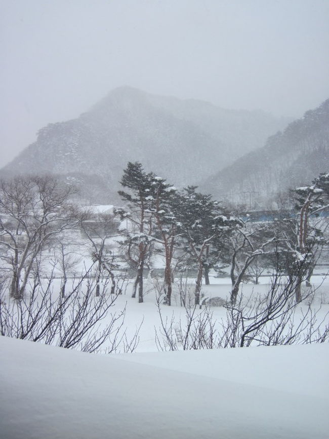 「冬はやっぱり温泉でしょう！」<br />「いいね！真っ白な雪景色を見ながら、あったかい温泉に浸かってみたーーい！」<br />「で、どこにするどこにする？」<br />「どうせなら、行ったことがないところ。」<br /><br />関東から近くて、雪深くて、静かで、予算ほどほどのところ・・・<br />そんな所あるか？！<br />あったのです。<br /><br />群馬県の水上温泉は谷川岳の向こうが新潟県。<br />山々に抱かれた自然環境豊かな水上温泉は、関東とは思えないほど雪深いところ。<br /><br />東京駅から新幹線でびゅーっと行けばバスに乗った時間を入れても1時間40分で着きます。<br />ふーん・・・それって私の通勤時間と同じじゃん！！<br /><br /><br />宿泊先：源泉湯の宿　松乃井<br /><br /><br />