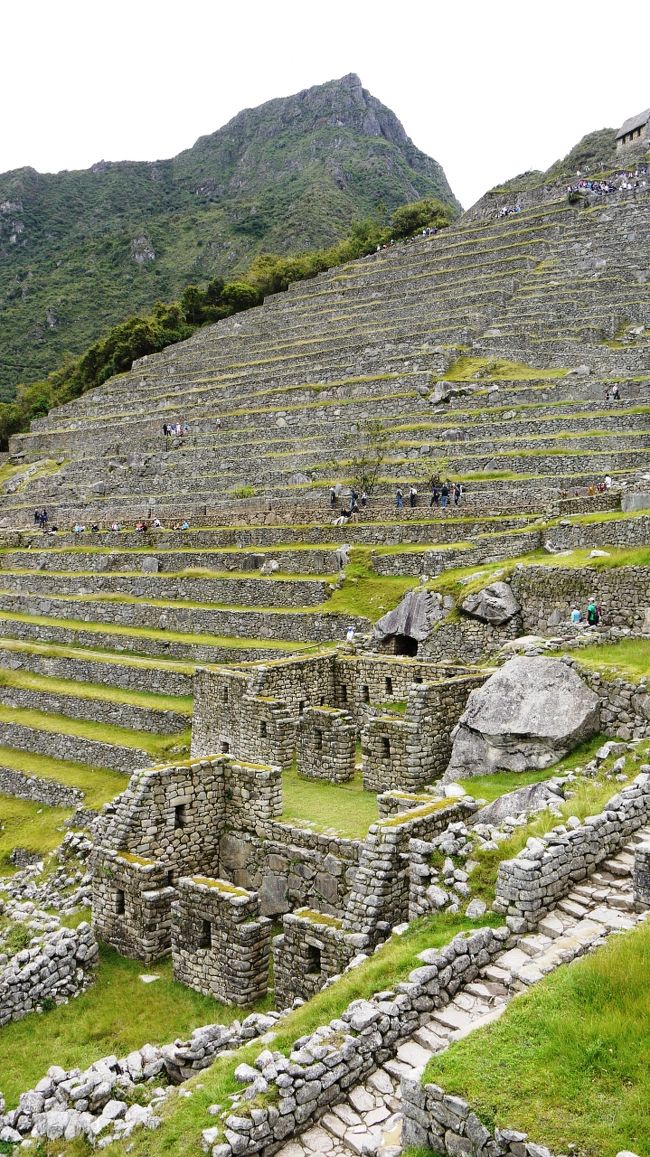 　◆⑥ついに逢った!!天空都市マチュピチュ≪定番コース後半≫◆<br /><br />定番コース後半は市街地に突入。<br />マチュピチュはインカ帝国の都市遺跡で、最大700人ほどが暮らしたらしい。<br />インカ帝国は、12世紀にクスコ地方で都市国家として成立したインカ族が15世紀中旬ごろに急激に勢力を拡大、1533年にフランシスコ・ピサロが率いるスペインのコンキスタドール(掠奪者)に滅ぼされるまでペルーやボリビア、エクアドル、チリなどの広範囲を支配した。<br />コンキスタドールはキリスト教布教の名のもとに文明を破壊し金銀財宝を略奪、無理やり改宗、原住民を奴隷のごとく扱い生命をも略奪した。<br />そのために多くの遺跡は破壊され、無理やり改宗させるために教会などを建築した。<br />これがなかったら今も多くの遺跡が残り、そこから過去の記憶が読みとれたはず。<br />非常に残念。<br />現在の中南米の多くの国の貧しさは掠奪者たちの行為によるものが大きい。<br /><br /><br /><br /><br /><br />