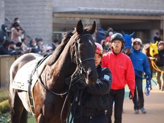 うちのマスコット・ガールが勝ちました（東京競馬場）