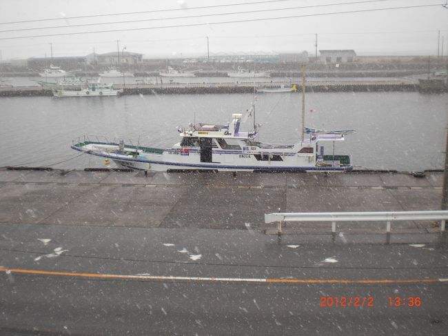 早春2月雪が降りました2月スタートです<br />キンセンカ・菜の花が凍えてます<br />明日明後日には立春ですが<br />まだまだ寒い早春です<br />雪の写真からスタートになりましたが<br />増殖系のアルバム<br />どんどん増やしていきますのでよろしく<br />