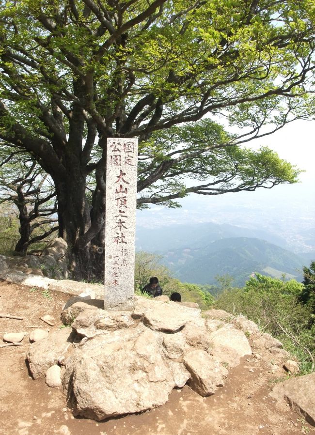 　大山は、古くから関東一円で、霊山として崇められて来た山です。<br />　大山詣でといって、人々はこぞって大山阿夫利神社や、大山寺へ参拝したようです。麓には門前町が建ち並び、栄えていました。<br />　今も、大山は国定公園として、日本３００名山の山として、とても人気があります。<br />　麓から大山阿夫利神社まではケーブルカーがついており、簡単に大山阿夫利神社まで運び上げてくれます。ここからは、急な石段や坂道を、奥の院の祀られた大山頂上まで登ります。<br />　私はこの日単独行でしたが、会社の研修でゴミ拾いをしながら登っているグループと一緒になり、前後して声を掛け合いながら、頂上まで登りました。<br />　とてもさわやかな大山詣でになりました。<br />　