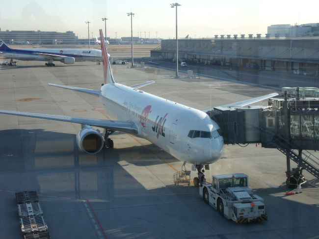 2012年冬の旅行は、2年ぶりに台湾に行ってきました。<br />今回は羽田発着便を利用しました。台北線の羽田発着便は街中の松山空港の発着となるため、本当に便利です。これから台湾に行くときにはこのパターンとなりそうです。<br /><br />《往路》　1月27日（金）JAL31便　東京（羽田）～台北（松山）<br />《復路》　1月29日（日）JAL30便　台北（松山）～東京（羽田）<br />《ホテル》　シーザーパークホテル台北