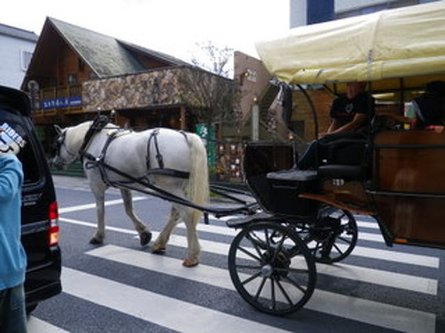 大好きな龍馬を訪ねて長崎へその後は実家のある由布院へ。