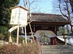 駆け足で深大寺に・・