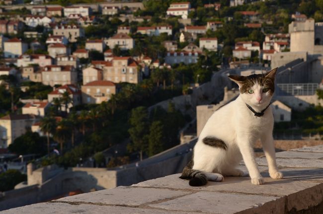 猫まみれ注意<br />憧れのクロアチア、スロベニアへやっと行ってきました！<br />美しい自然と世界遺産のとっても素晴らしい国でした。<br />今回ツアーおひとり様参加を初体験しました。<br />ツアー人数も10人で、バス（なんと大型バス）もホテルも快適でした。一人参加はやみつきになりそうです。<br />クラブツーリズムのツアー　クロアチア・スロベニアとボスニア・モンテネグロ4カ国周遊10日間に参加しました。<br />ツアー料金\278,000。燃油サーチャージ\66,000！！空港税等で計35万円オーバー。<br />○急のツアーが安くて、大分悩みましたが、このツアーに参加して大正解でした。 <br />１日目　成田⇒フランクフルト⇒リュブリアーナ⇒ブレッド<br />２日目　ブレッド⇒ポストイナ⇒リエカ<br />３日目　リエカ⇒ザダール⇒シベニク⇒トロギール<br />４日目　トロギール⇒スプリット⇒ネウム⇒ドゥブロヴニク<br />５日目　ドゥブロヴニク<br />６日目　ドゥブロヴニク⇒モスタル⇒プリトヴィツェ<br />７日目　プリトヴィツェ、スルニ村<br />８日目　プリトヴィツェ⇒ザグレブ<br />９日目　ザグレブ⇒リュブリアーナ⇒ミュンヘン<br />１０日目　成田着 <br />