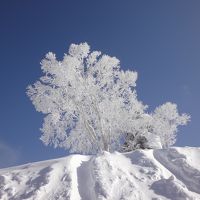 北志賀竜王　夜行・日帰り　スキー