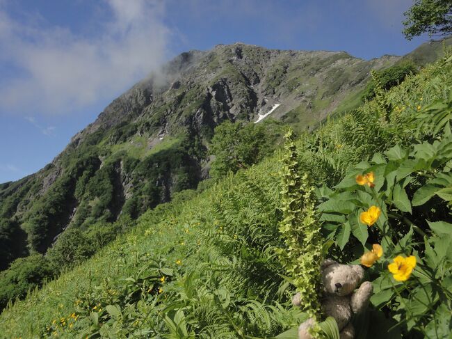 ２０１１年９回目の登山の記録です。<br /><br /><br />2010年8月に富士山(国内標高１位）登頂。<br /><br />2011年3月から、本格的に登山グッズを買い揃えつつ、2週間に一度のペースでトレーニングを兼ねた日帰り登山を行い、<br /><br />2011年7月の北岳（同２位）・間ノ岳（同４位）・(西）農鳥岳(同１６位）を縦走しました。<br /><br />日本には3000m級の山が21あるそうですが、これに剣岳(2999m）を加えて、22峰をいつか制覇したいものです･･