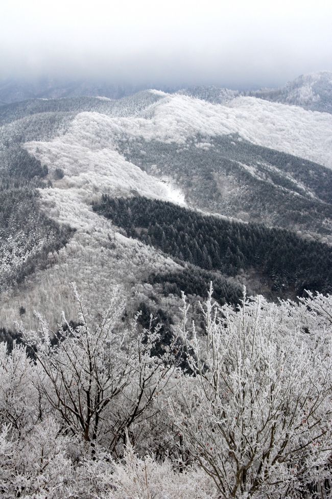 樹氷シーズン到来！ということで，今年も寒中登山に行ってきました。<br />今回訪れたのは「関西のマッターホルン」こと，高見山(1248m)です。<br />奈良県東吉野村と三重県松阪市の県境にある山で，美しい樹氷が見られることで有名です。<br /><br />樹氷は気象条件が揃わないと見ることができませんが，寒波が訪れたあとだったので，素晴らしい樹氷を見ることができました。<br />