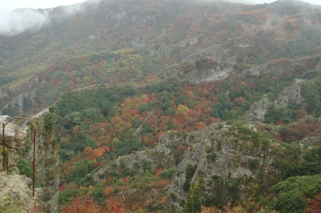 2011年11月19日（土）<br /><br />小豆島の寒霞渓は、紅葉の名所で行きたいと思っていた場所です。小豆島には橋がないので船で行くしかないし、車ごとフェリーで移動となるとけっこうな金額になってしまうのでバスツアーで行くのがお手頃です。<br />今回は寒霞渓だけの観光でしたが、小豆島は他にもオリーブ園やエンジェルロードなど見所たくさんなのでまた、行きたいなと思います。<br />この日は、あいにくの雨模様。そして、寒い。<br />しかし、ロープウェイからの眺めはパンフレットでよく目にする景色でした。素晴らしかったです。