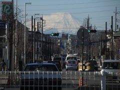 ふじみ野市から見られた真っ白な富士山