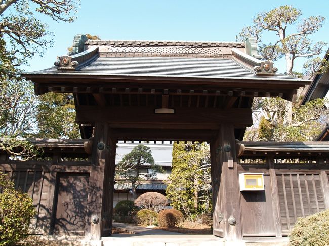 横浜市瀬谷区東阿久和1にある長屋門公園は柏尾川の支流である阿久和川の上流に位置する。東海道新幹線を挟んで東西阿久和と南阿久和がある。阿久和は「あくわ」であるが、阿久和川からは「アクア(Aqua)」のイメージも浮かぶ。阿久和(わくわ)と「アクア」は音が似てるなどと思っていたら、帰りに車屋さんの店頭に「アクア」が並んでいた。しかし、どうしても車とAquaは結び付かない。 戸塚駅東口発三ッ境駅行のバスから見ると阿久和には銅葺き屋根が多くある。富岡(横浜市金沢区)の町が銅葺き屋根の多い街ならさしずめ阿久和は銅葺き屋根の多い村と言った感じだろうか。 長屋門公園の旧大岡家(長屋門)の前にも立派な銅葺き屋根の表門と母屋のお屋敷があり、家の前の駐車場には「製糸場跡」の看板がある。このお宅が大岡家と共に製糸場をやっていたと長屋門公園のおばさんがいう。「わがまち瀬谷18」には「阿久和地区の製糸工場は現在の長屋門公園の近くに相州改良社(社長北井要太郎、糸取り作業者200名)と大剛社(社長大岡源兵衛、糸取り作業者40名)の2社があった。現在その跡地には、区の由来版が立っている。」とある。このお屋敷の表札は読めなかったが、Webで調べるとこのお宅が北井家であった。おそらくはこの由来版が立っている駐車場あたりに相州改良社の工場があって、長屋門前の現在は宅地が造成中のあたりに大剛社の工場があったのであろう。(表紙写真は北井家表門)