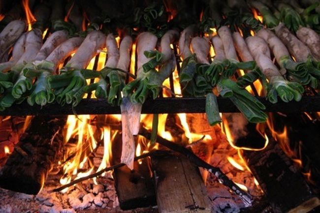 スペインのもう一つのグルメ、カルソッツ(焼きネギ)。<br />冬しか味わえないというので、大寒波のバルセロナにやってきました。<br />なるほど納得!その美味しさは食べてみないと判りません。<br />
