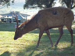 スリランカ世界遺産8箇所全制覇(後半)　自然遺産と要塞都市ゴール