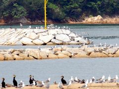 瀬戸内海の大串半島を一周