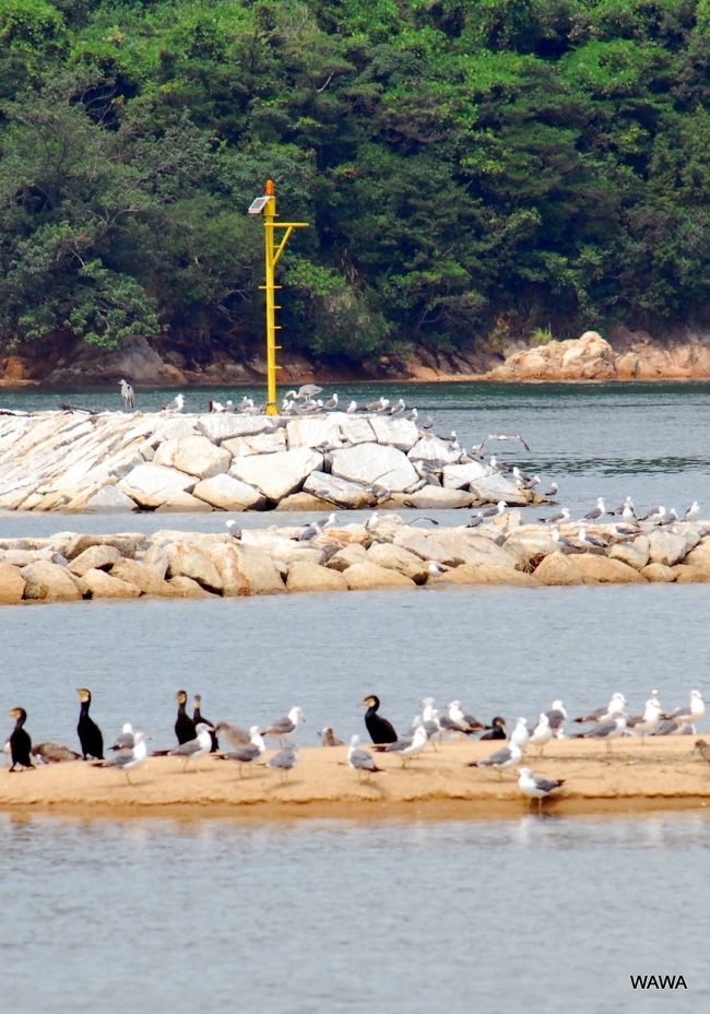 香川県さぬき市から瀬戸内海に突き出した大串半島周辺の観光地や漁港を巡りながら車で半島を１周しました。海沿いの景色や静かな集落以外、特に何があるわけでもないのですが、海沿いの道をドライブすることで、小豆島を始め美しい瀬戸内海の景色を堪能することが出来ました。<br /><br /><br />