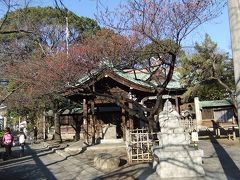 荏原神社の寒緋桜まだ咲かず　２０１２