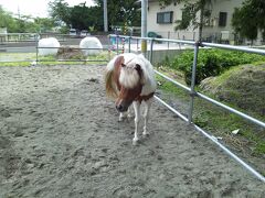 相馬へ　平成二十三年幻の野馬追祭