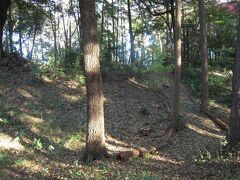 武蔵練馬　道灌ゆかりの地を訪ねる・隅田川水系に広がった領地を有した豊島氏が長尾景春の乱で対立した太田道灌軍に制圧され落城した『石神井城』訪問