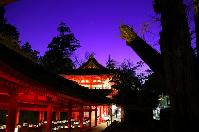 古都奈良の瑠璃絵を春日大社万燈籠を中心見てきました。