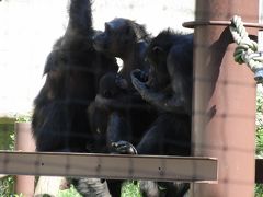 動物園の赤ちゃんに会う旅！東山動物園