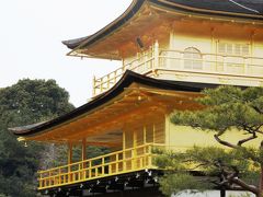 小雨の京都・阿吽の開運旅 前編（早春の梅苑・北野天満宮、世界遺産 金閣・鹿苑寺、狩野探幽 雲龍図・妙心寺）