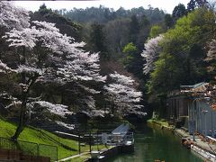 [2日目]2011京都で桜を見る！