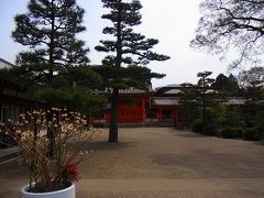 [3日目]2011京都で桜を見る！