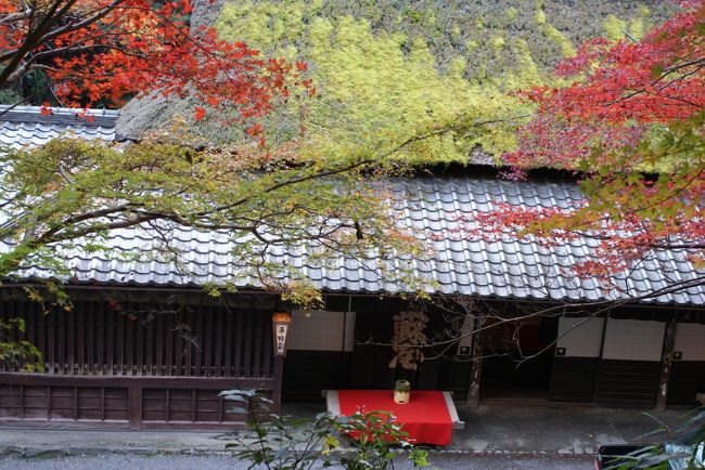 紅葉の京都も２日目です。<br />東山の紅葉が散々だったので、予定を変更。<br />高山寺〜神護寺方面です（*^_^*）